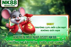 Khuyến Mãi Nạp USDT NK88 - Thưởng Lớn Và Cược Cực Sung
